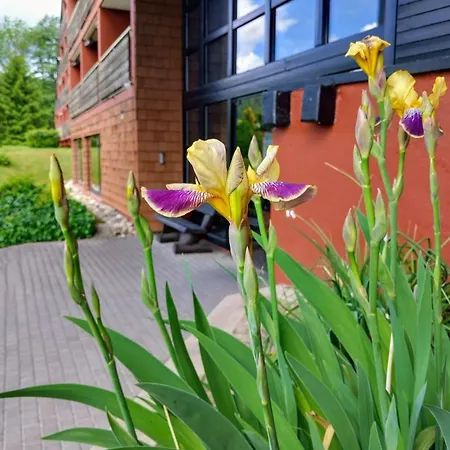 Zur Gartenschau Mit Schwimmbad * Baiersbronn